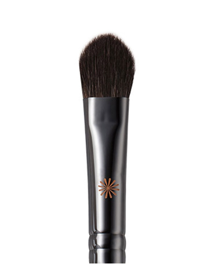 Buy Piccasso #723 Fan Brush Highlight Brush here at 70% discount! Branded  makeup brushes at outlet prices. Worldwide shipping in 7 working days! –  Pony Brushes