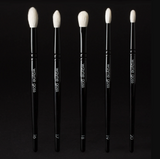 Wayne Goss The Eye Set